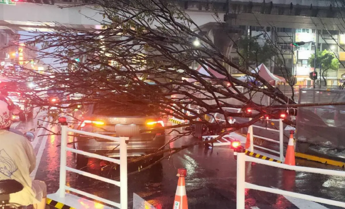 台中大雷雨傳災情！北屯大坑積水混泥流 西屯樹倒砸車